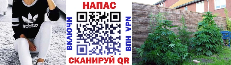 Наркошоп Новокубанск Каннабис  APVP  Меф  MEGA вход  Кокаин 